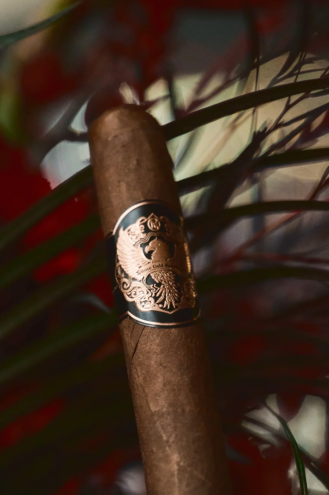 A Rose Gold Reserve cigar with its black and rose gold band